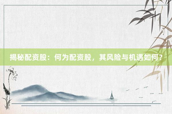 揭秘配资股：何为配资股，其风险与机遇如何？