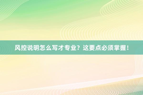 风控说明怎么写才专业？这要点必须掌握！