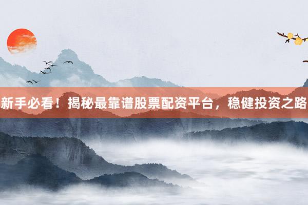 新手必看！揭秘最靠谱股票配资平台，稳健投资之路