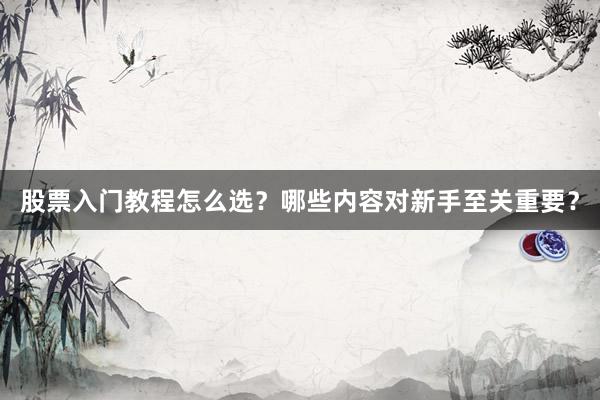 股票入门教程怎么选？哪些内容对新手至关重要？