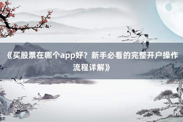 《买股票在哪个app好？新手必看的完整开户操作流程详解》