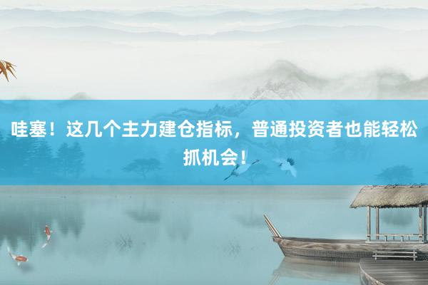 哇塞！这几个主力建仓指标，普通投资者也能轻松抓机会！