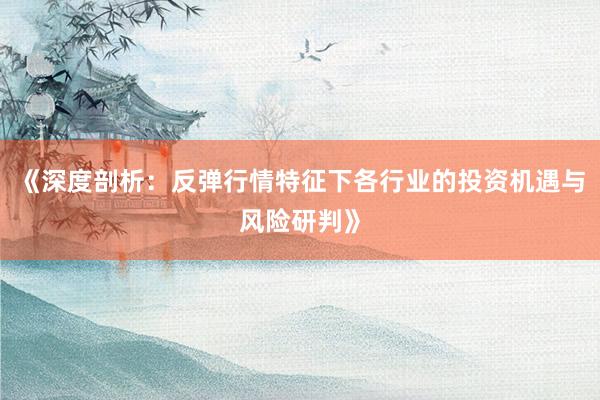 《深度剖析：反弹行情特征下各行业的投资机遇与风险研判》