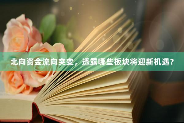 北向资金流向突变，透露哪些板块将迎新机遇？