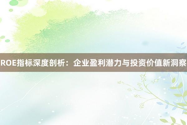 ROE指标深度剖析：企业盈利潜力与投资价值新洞察
